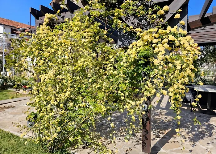 At Mare Appartamento Vodice